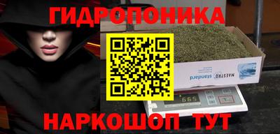 спиды Камышлов